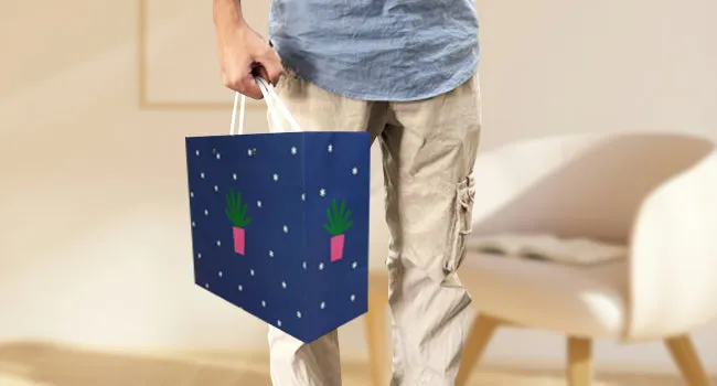 Stylish Cactus Themed Gift Bags - Set Of 4